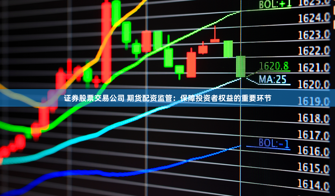 证券股票交易公司 期货配资监管：保障投资者权益的重要环节