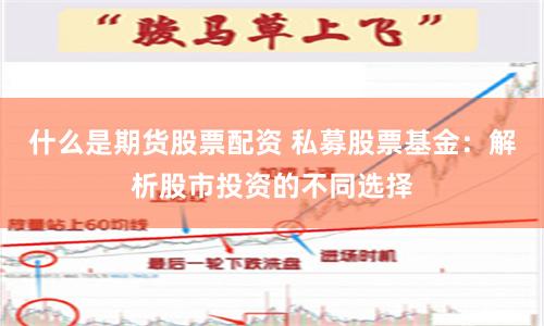 什么是期货股票配资 私募股票基金：解析股市投资的不同选择