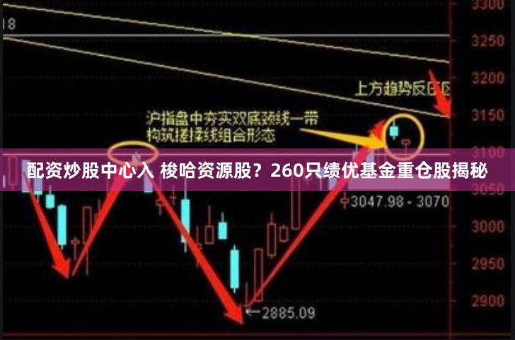 配资炒股中心入 梭哈资源股？260只绩优基金重仓股揭秘